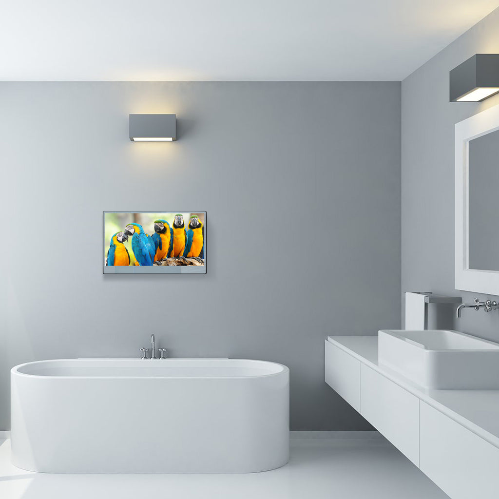 Elevate Your Bathroom Experience with Soulaca Bathroom TV